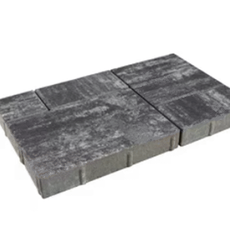 Toledo nerino Toledo nerino